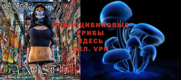 ECSTASY Богданович