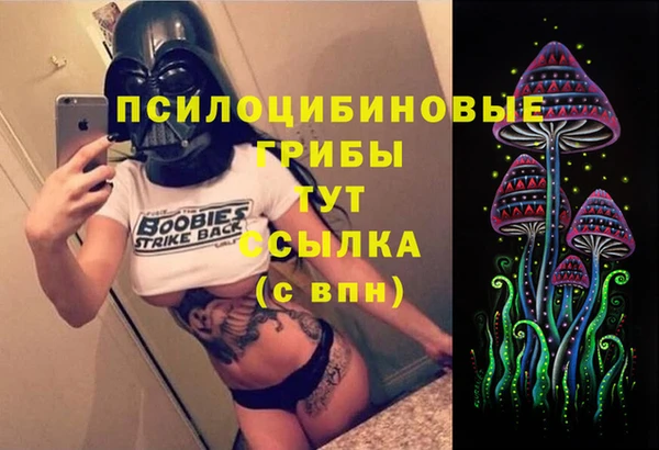 ECSTASY Богданович