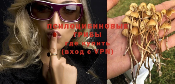 2c-b Богородск